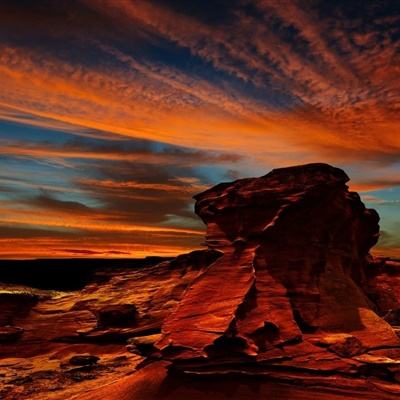 pc蛋蛋官方网站