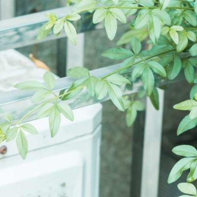 28网站下载手机版